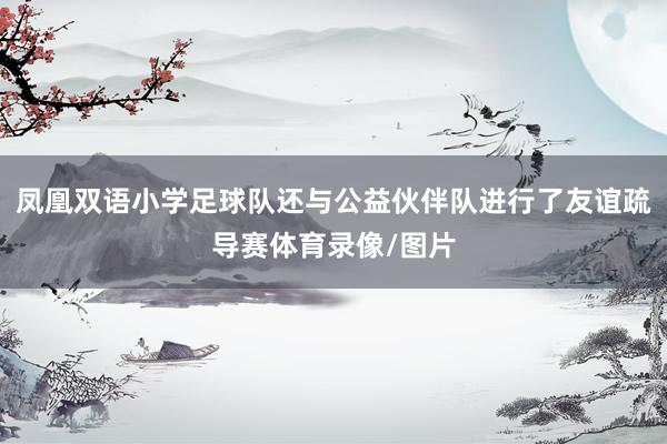 凤凰双语小学足球队还与公益伙伴队进行了友谊疏导赛体育录像/图片