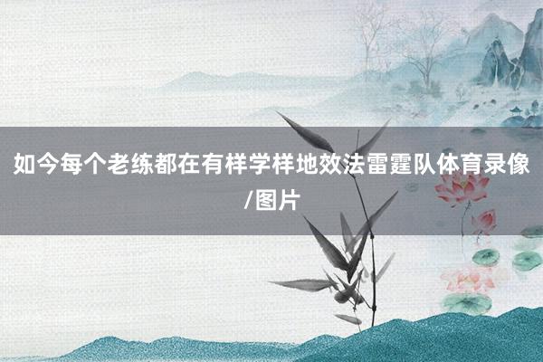 如今每个老练都在有样学样地效法雷霆队体育录像/图片