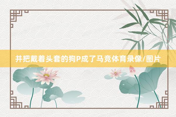 并把戴着头套的狗P成了马竞体育录像/图片