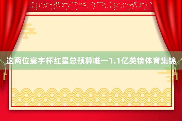 这两位寰宇杯红星总预算唯一1.1亿英镑体育集锦