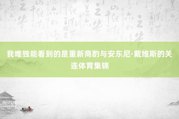 我唯独能看到的是重新商酌与安东尼·戴维斯的关连体育集锦