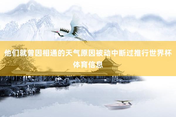 他们就曾因相通的天气原因被动中断过推行世界杯体育信息