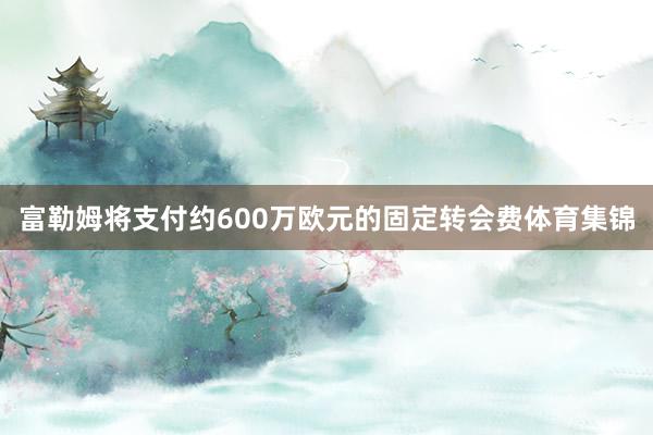 富勒姆将支付约600万欧元的固定转会费体育集锦